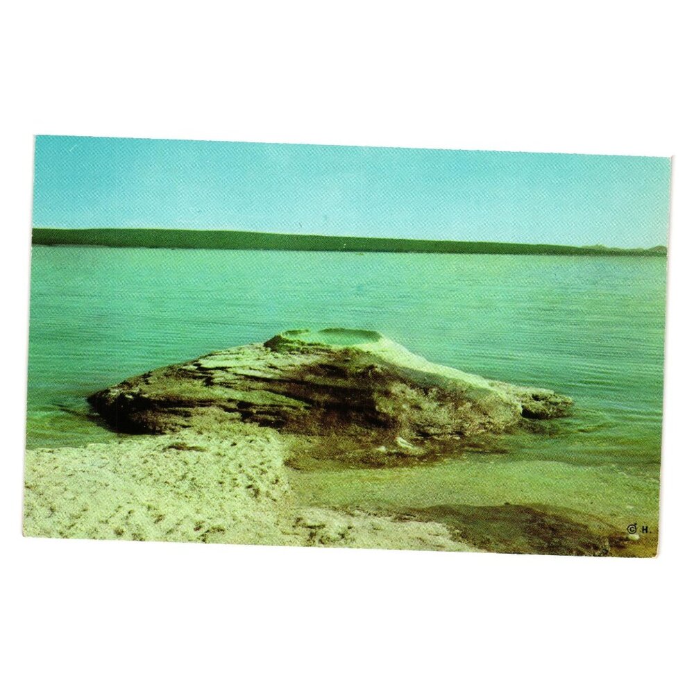 Fishing Cone Yellowstone Postcard Vintage Print West Thumb Bay Lake Haynes Gift